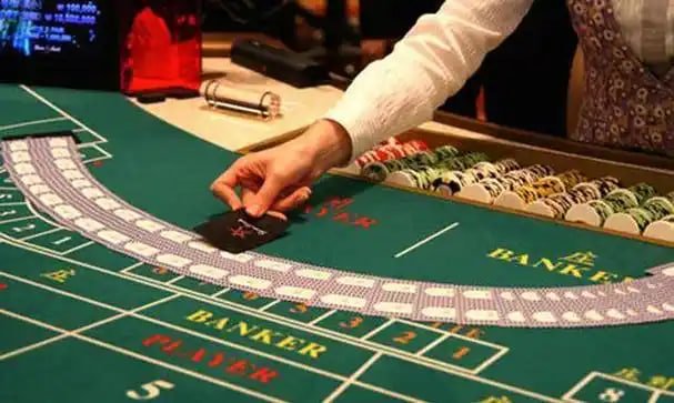 355bet